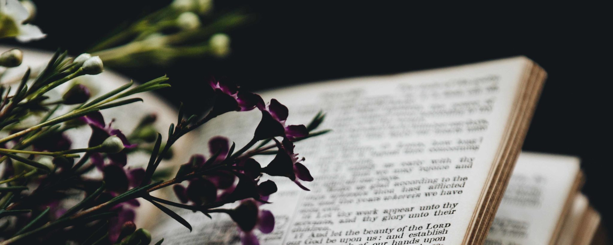 Necessary Judgement Article Image