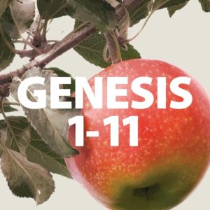 Genesis 1-11 Origins Series
