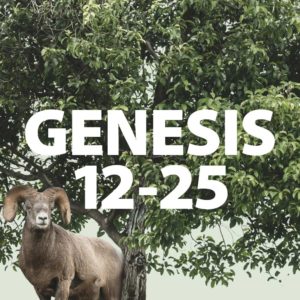 Genesis 12-25 Origins Series