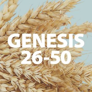 Genesis 26-50 Origins Series