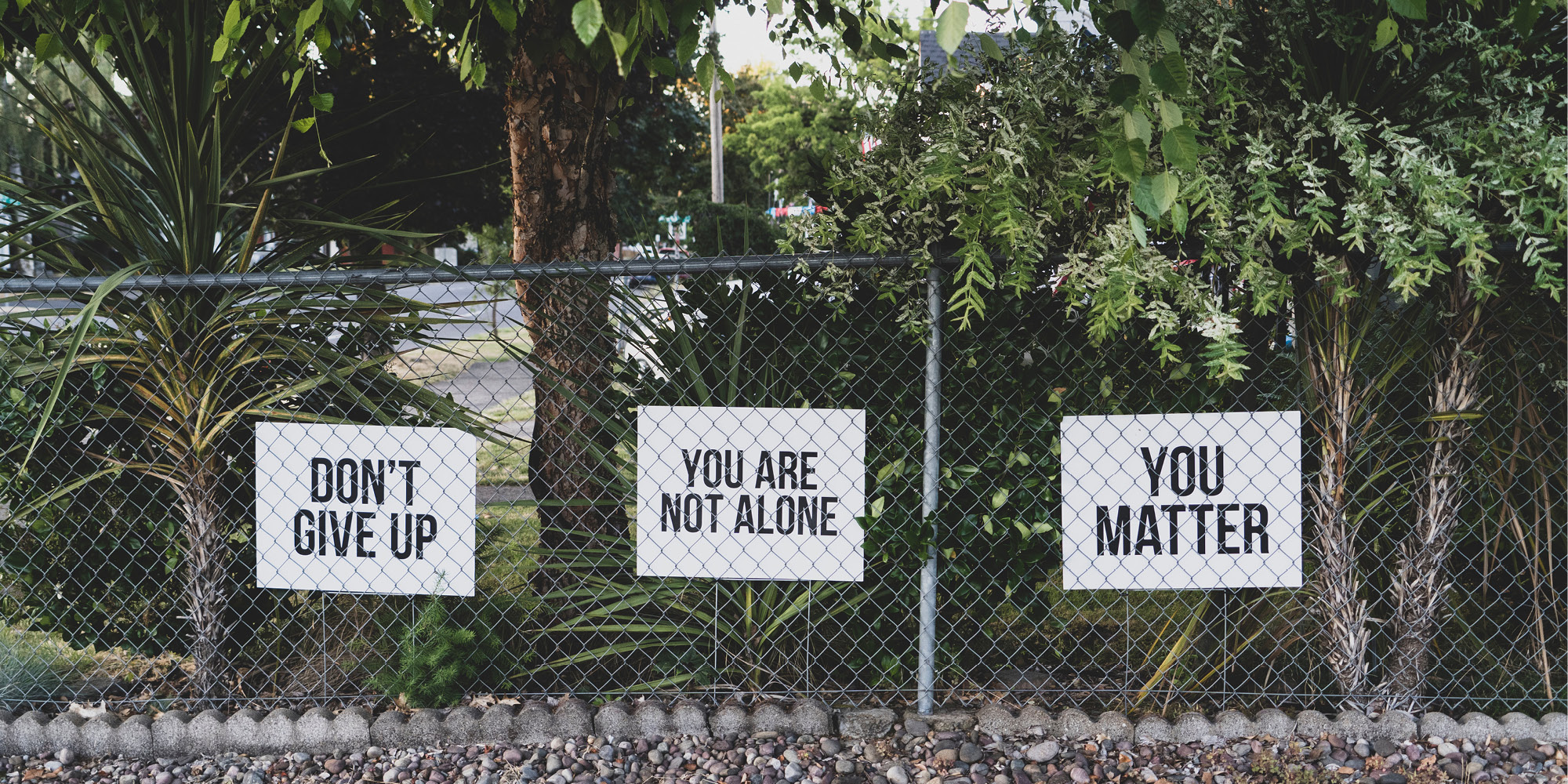 Youre Not Alone Dealing with Anxiety and Depression Article Image