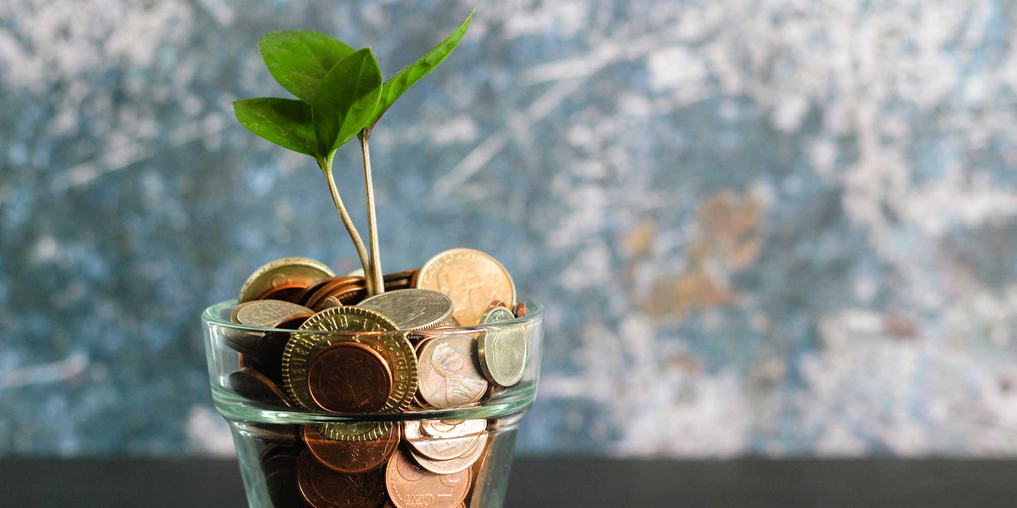 The-Best-Return-on-Investment Article Image