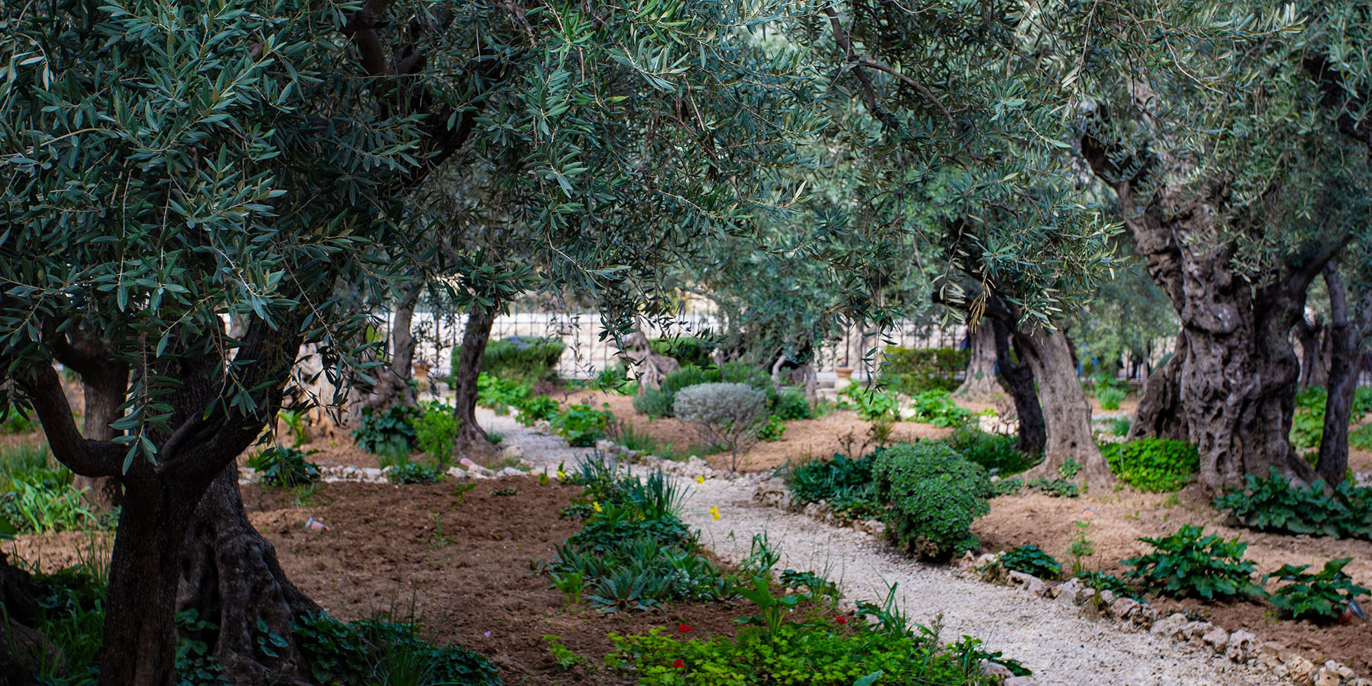 The Indignity of Betrayal and the Fulfillment of Prophecy Article Image