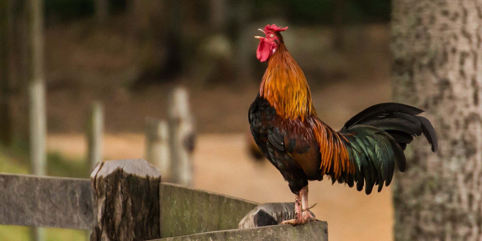 Rejection and Redemption Article Image