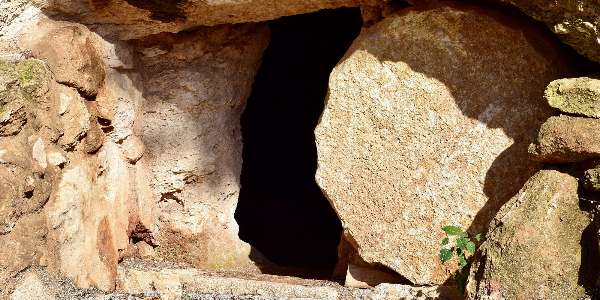 Daring Devotion Article Image