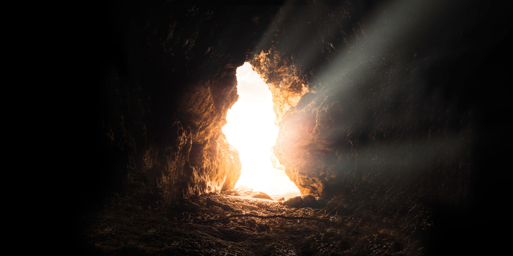 The Distinguishing Factor Article Image