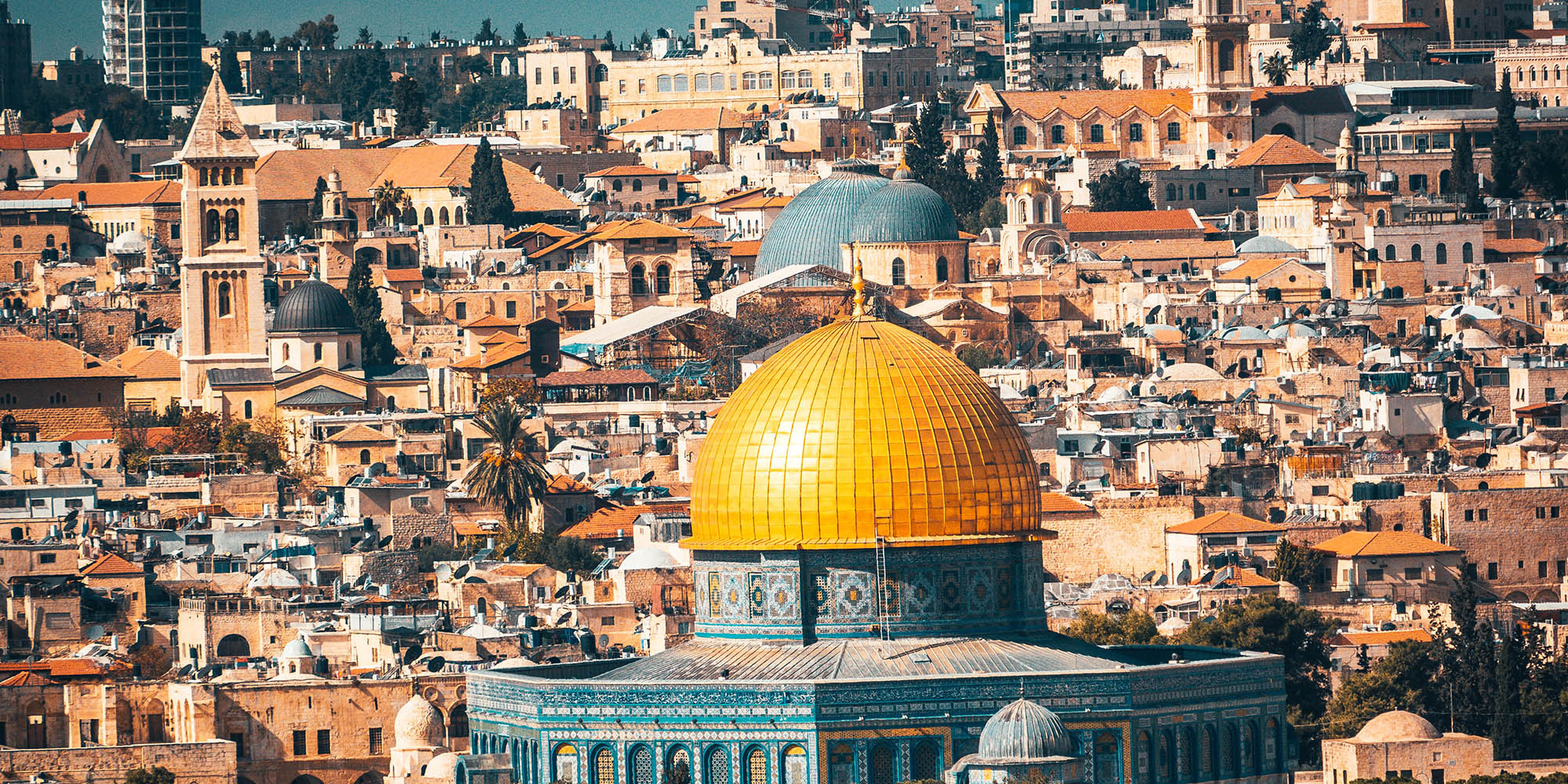 The Underdog Wins Devo Image