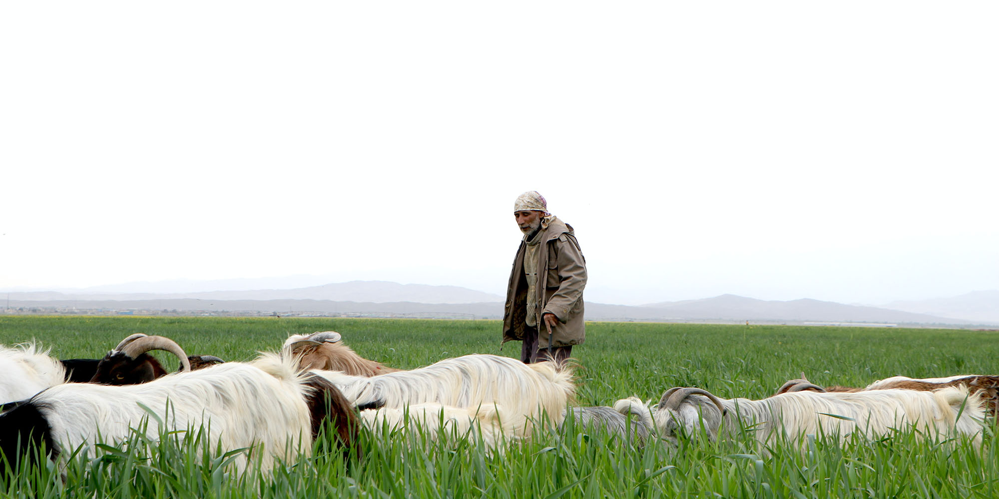 His Heart Devo Image