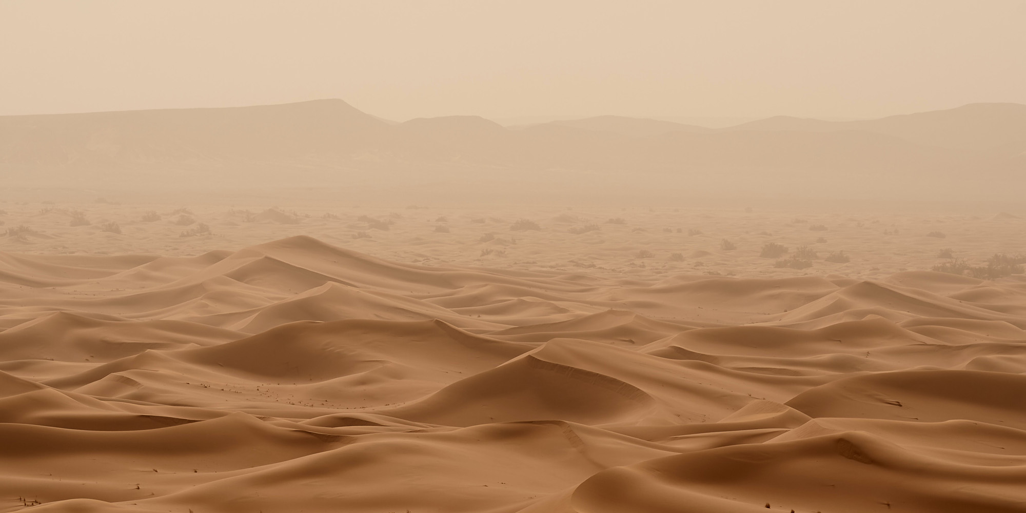 His Part, Our Part Devo Image