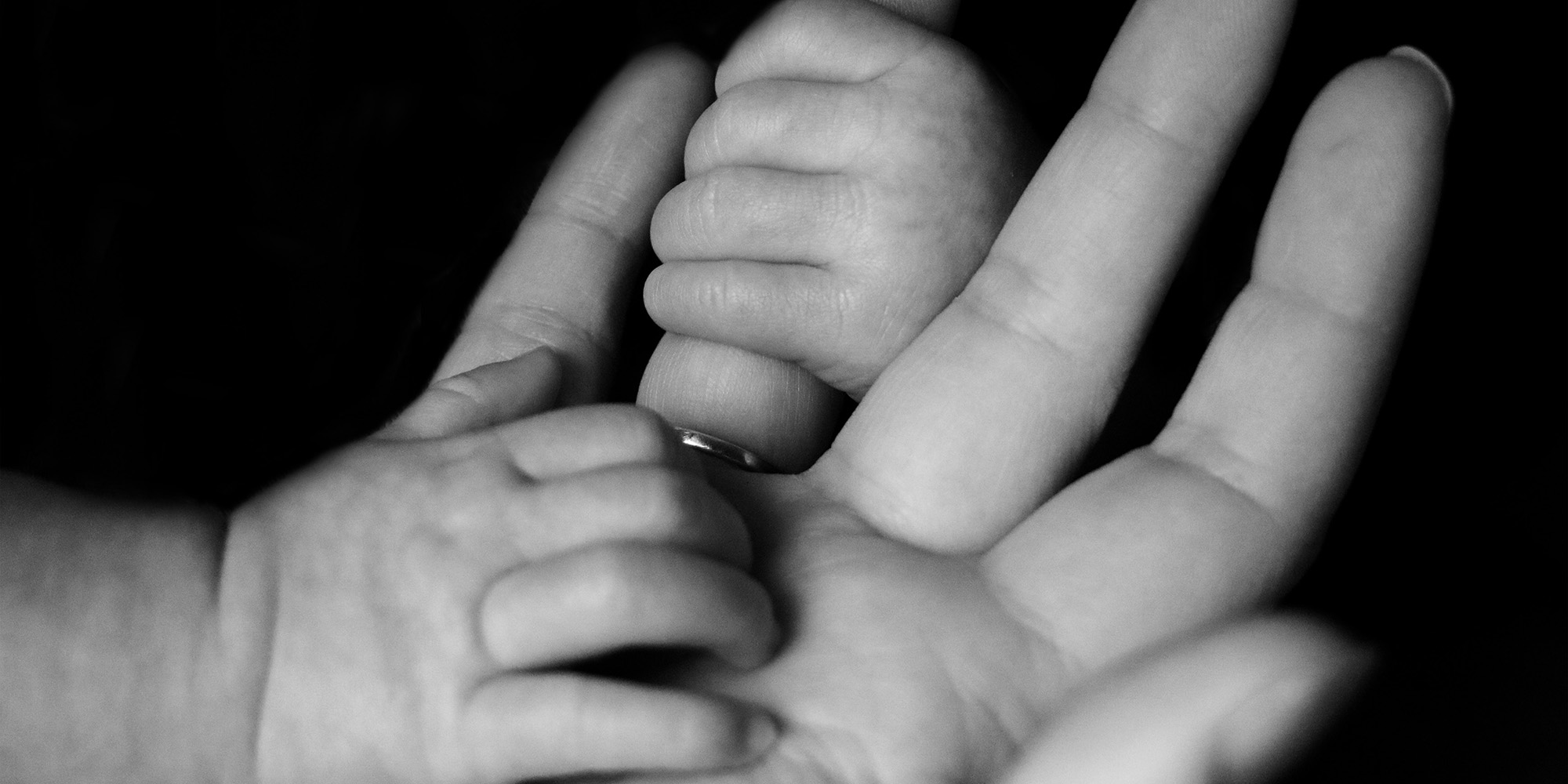 Meet Moses’ Mom Devo Image