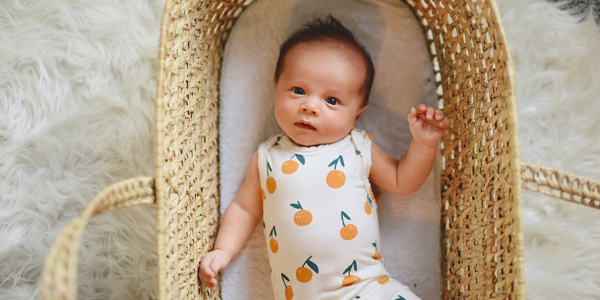 Out of the Water, Into His Plans Devo Image