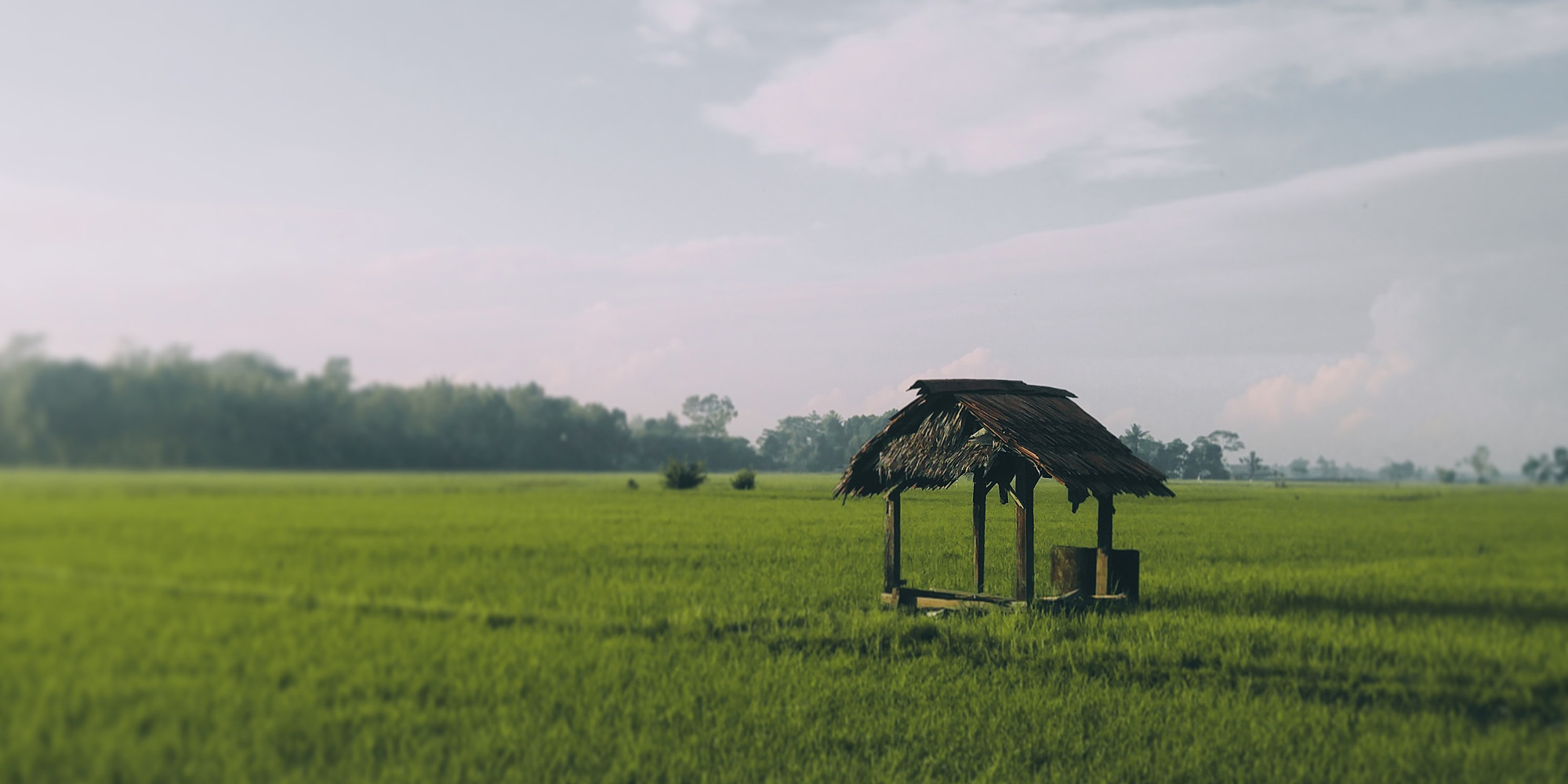 What Happens in Goshen Devo Image