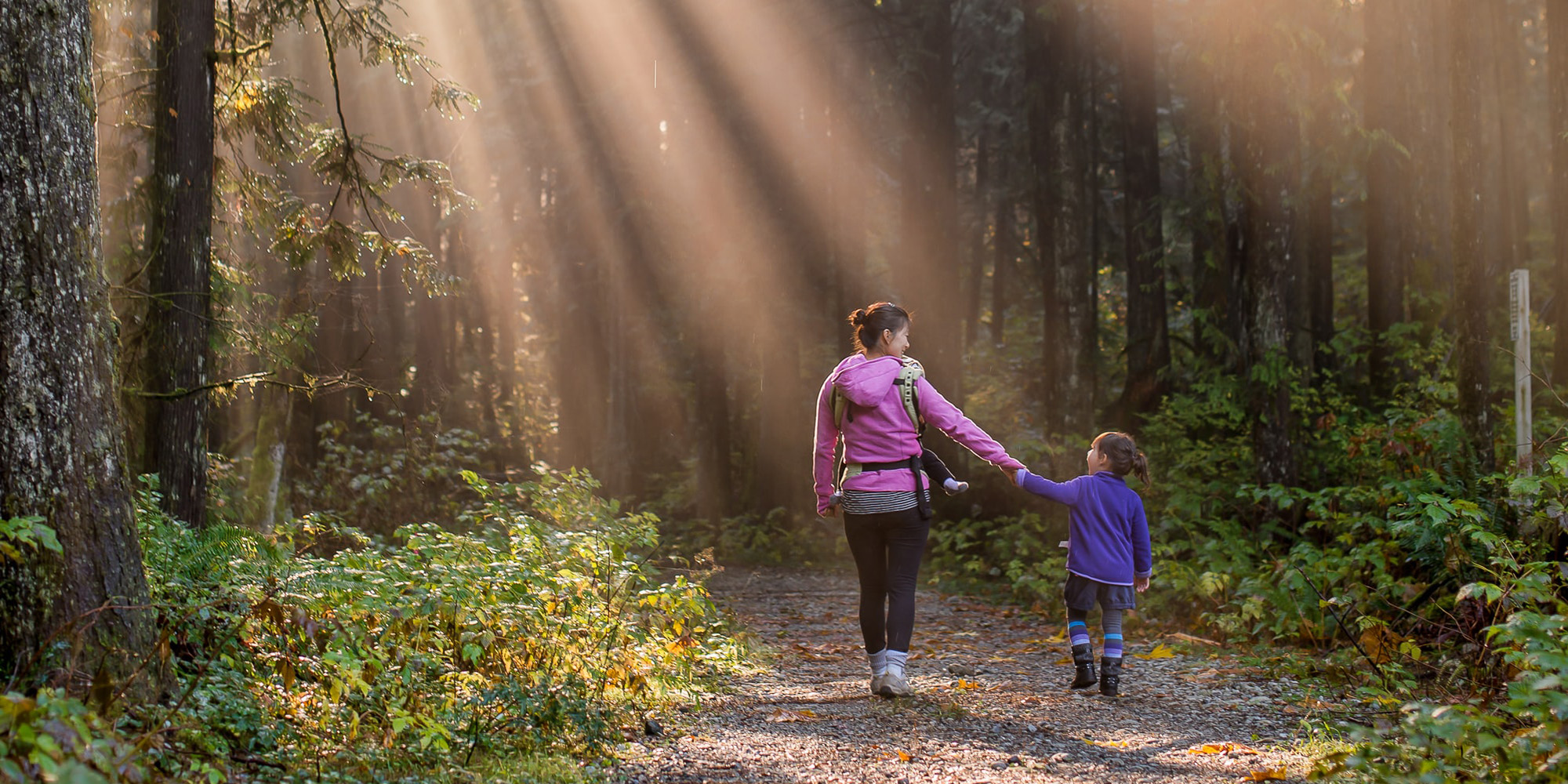 All That Matters in the End . . . Devo Image