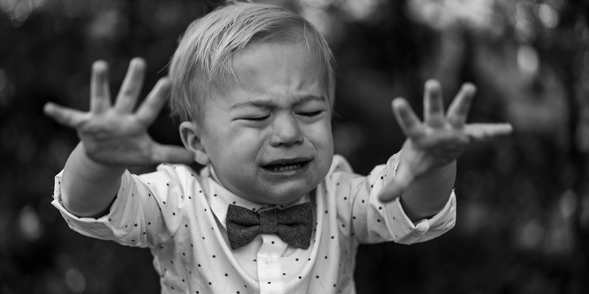 A Cry, A Conclusion Devo Image