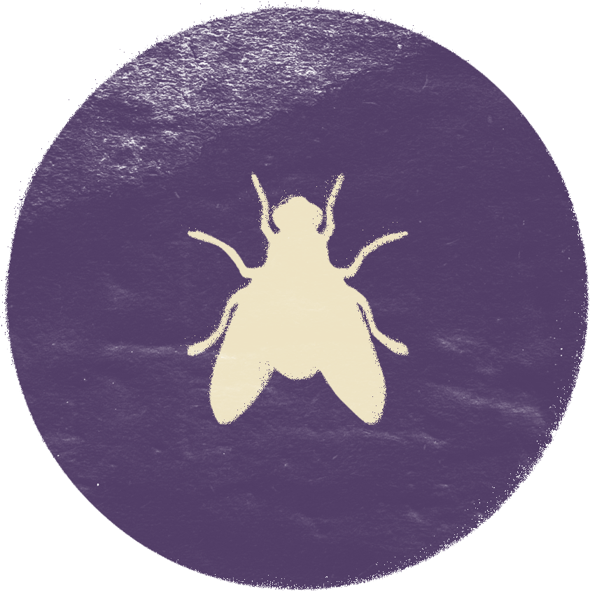 EGYPTIAN GOD(S): Uatchit, the fly god