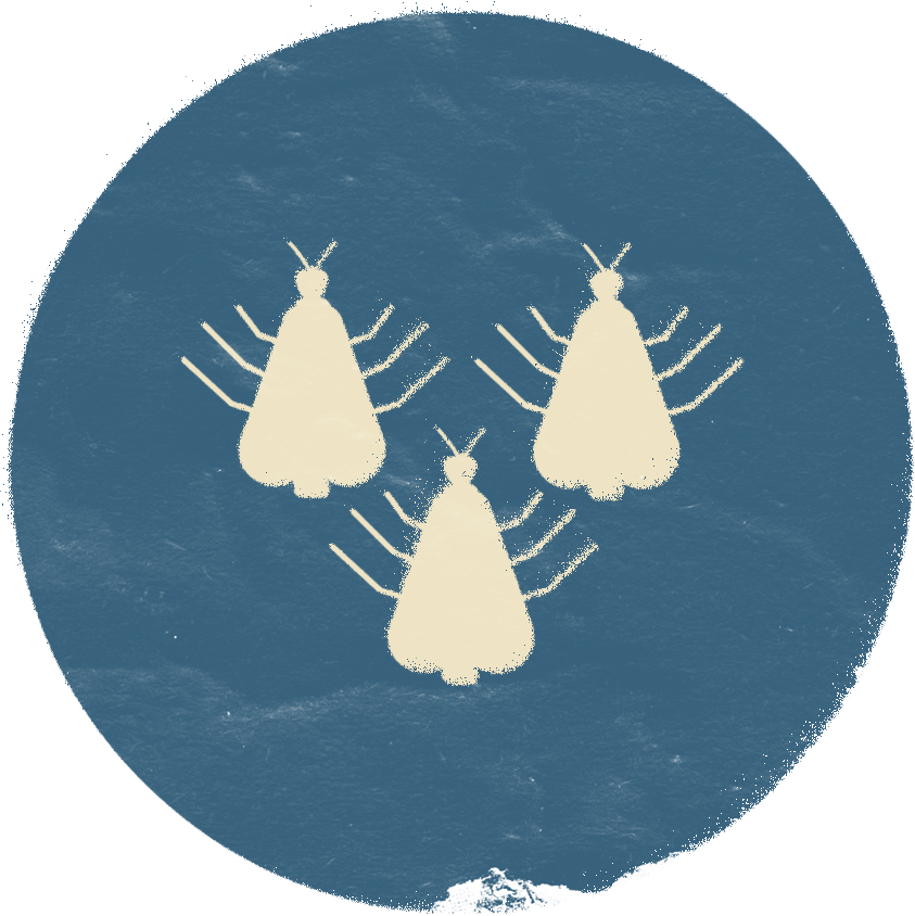 EGYPTIAN GOD(S): Set, god of the desert