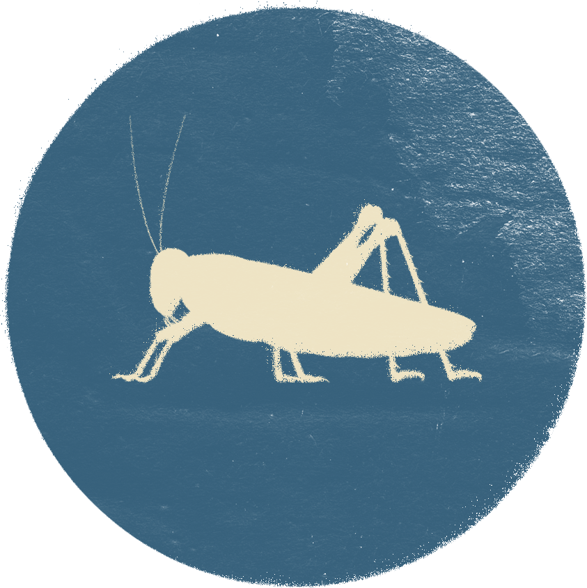 EGYPTIAN GOD(S): Nut, Osiris and Set