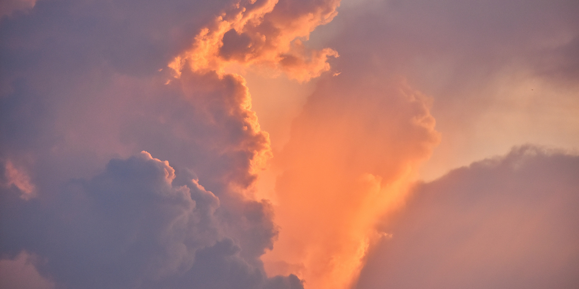 Covenants with Idols and Ideologies Devo Image