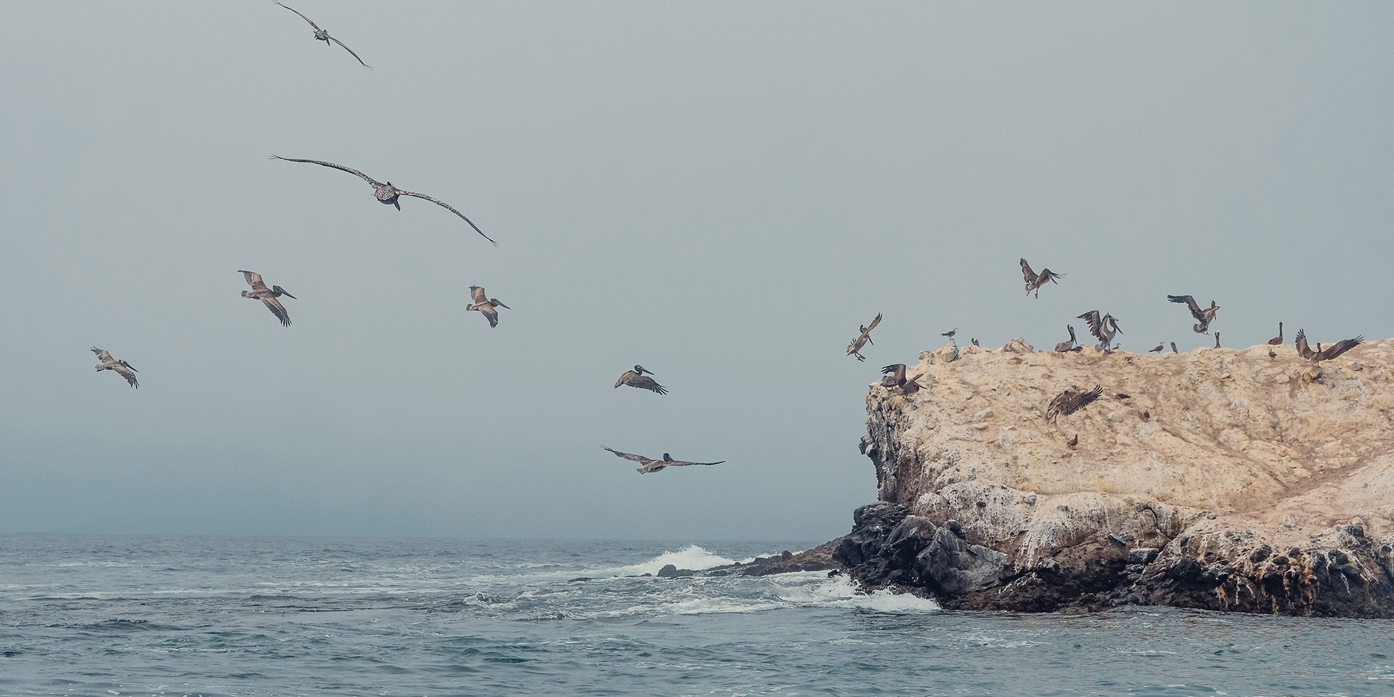 Social Responsibility and Depravity Devo Image