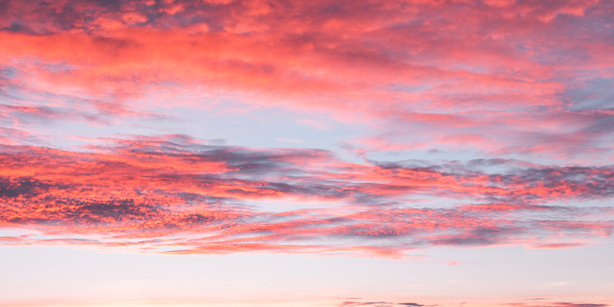 The Third Commandment Devo Image