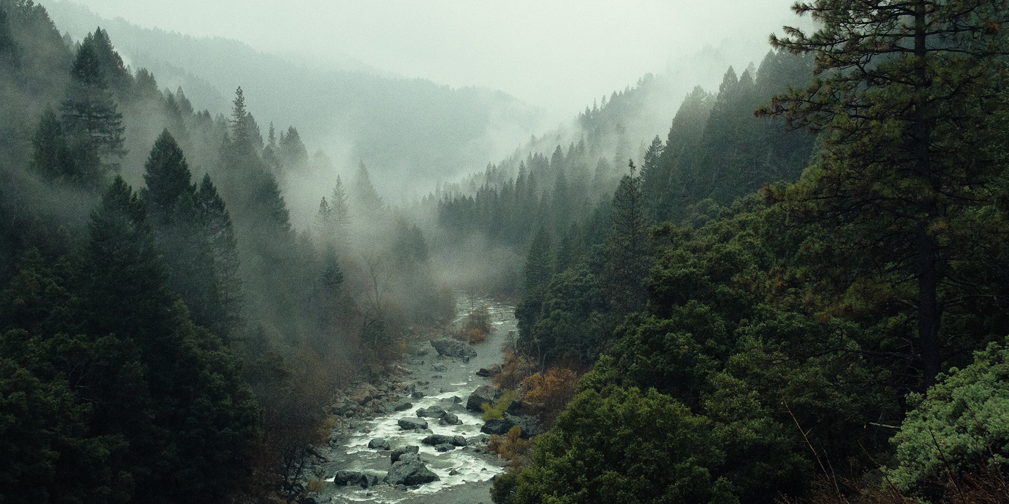 You Shall Not... Devo Image