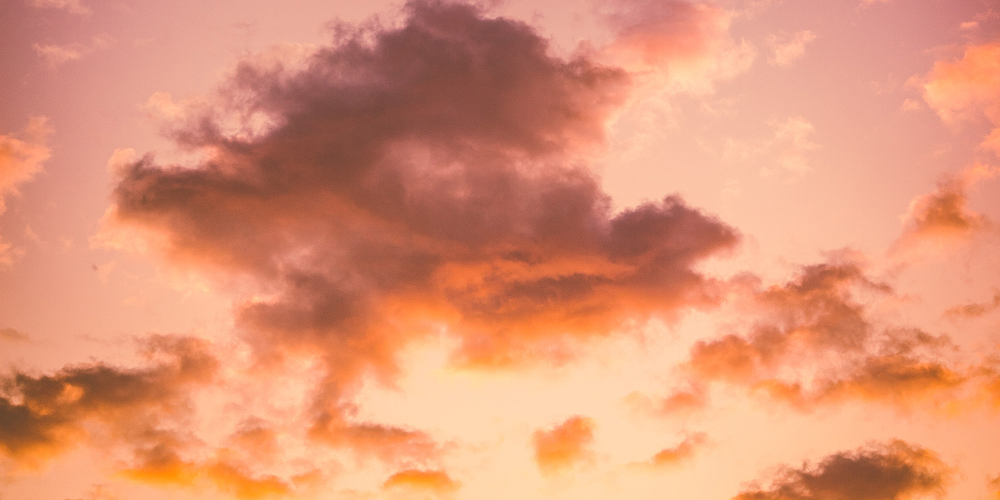 Love Over Liberty Devo Image