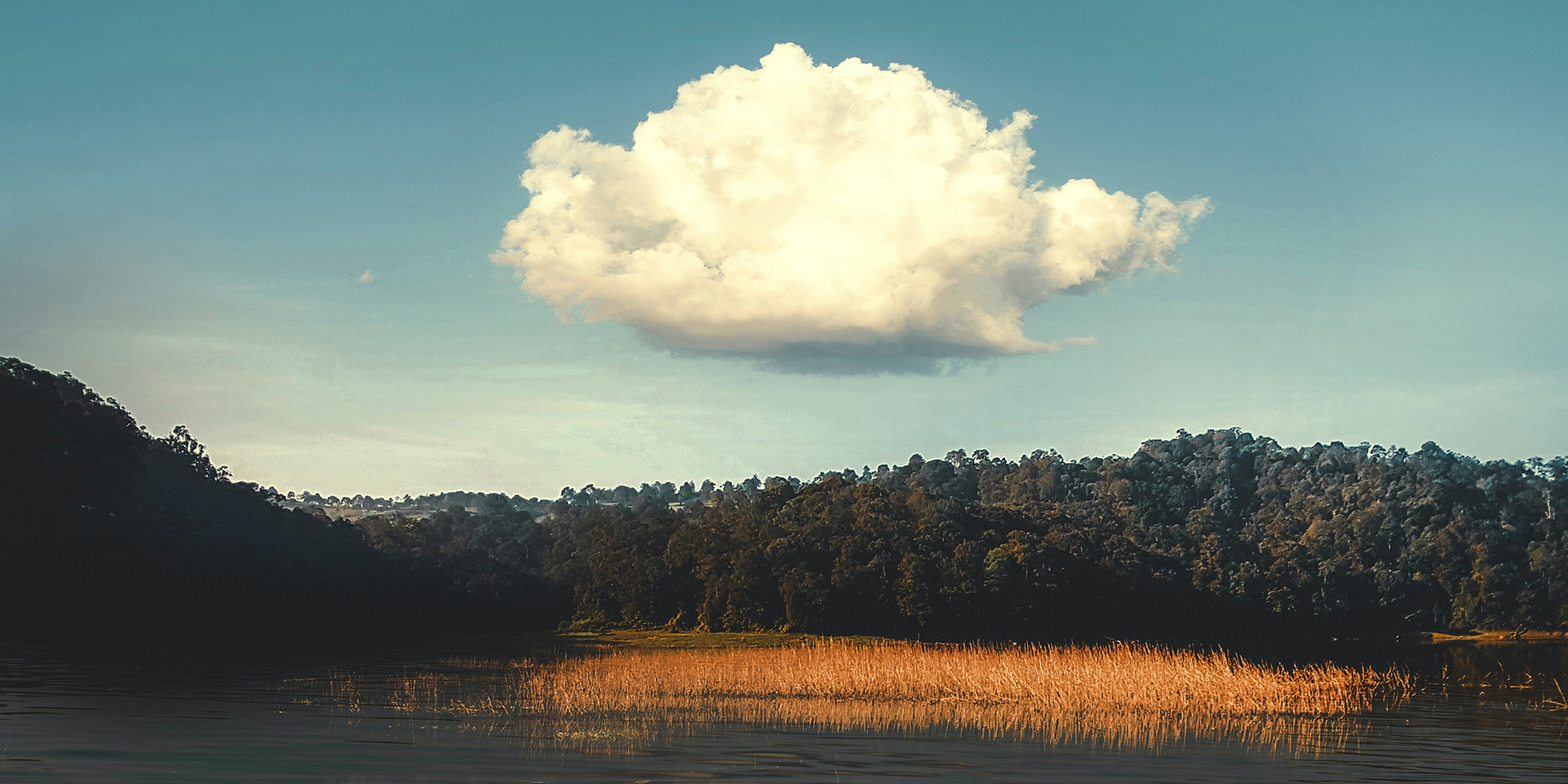 Always in Front of You Devo Image