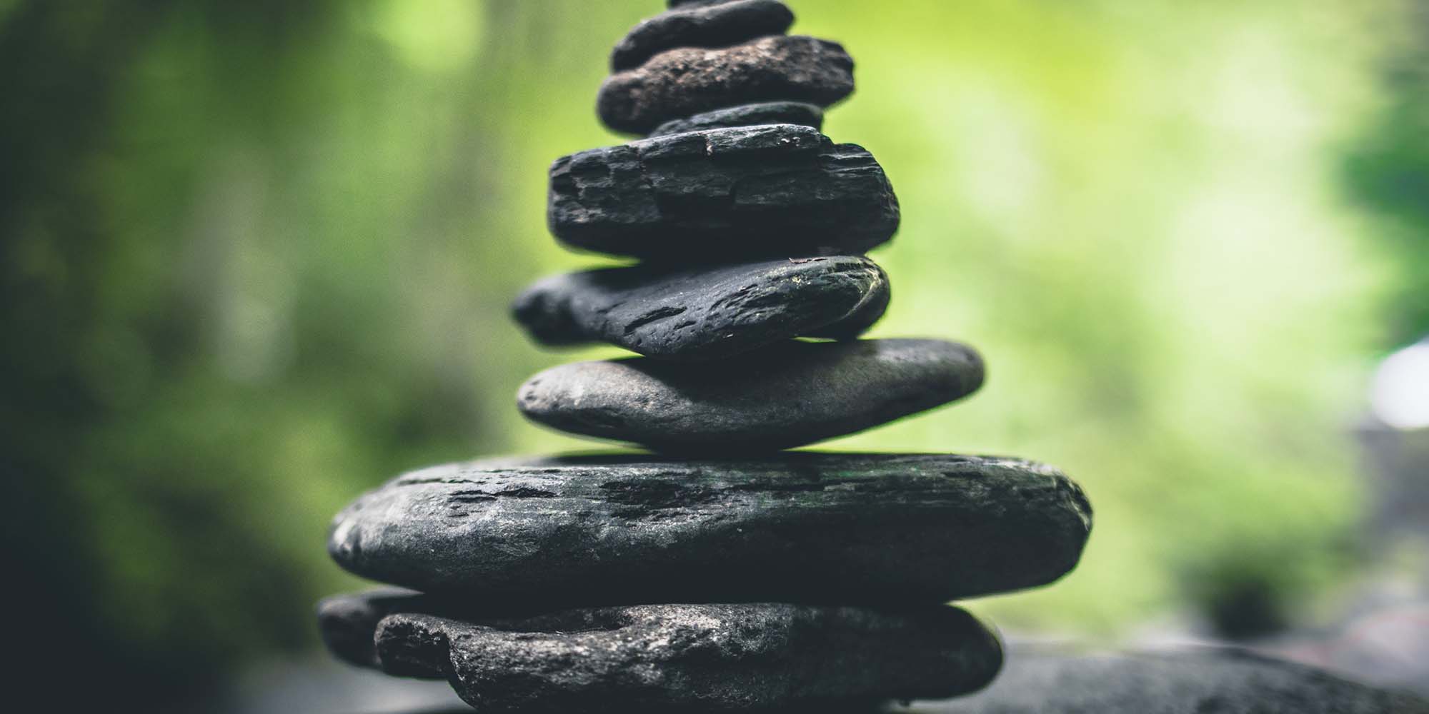 Reading Laws and Sprinkling Blood Devo Image