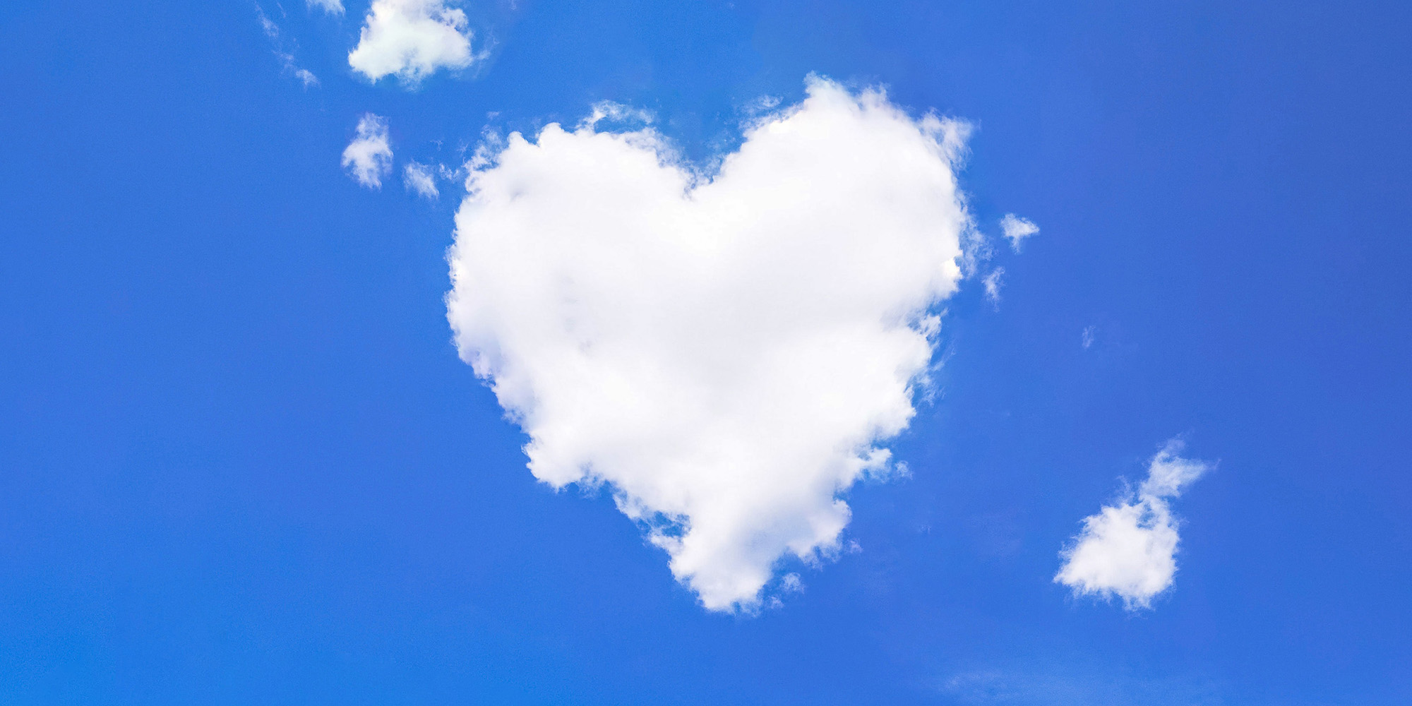 Offerings of a Grateful Heart Devo Image