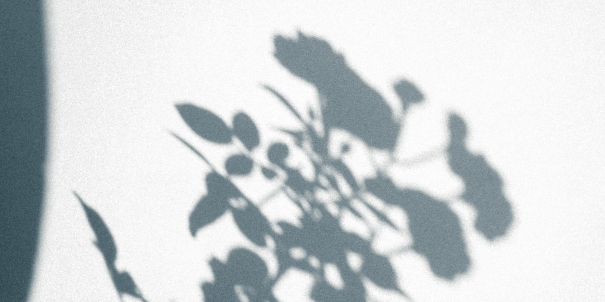 Out From the Shadow Devo Image